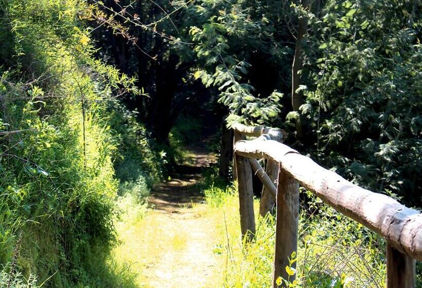 Las Montañas De Olmué Resort & Conference Center