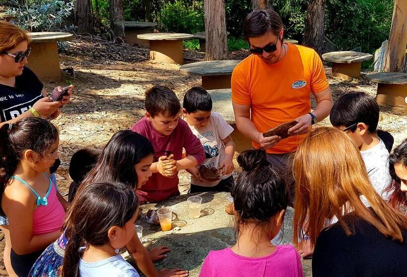 Las Montañas De Olmué Resort & Conference Center