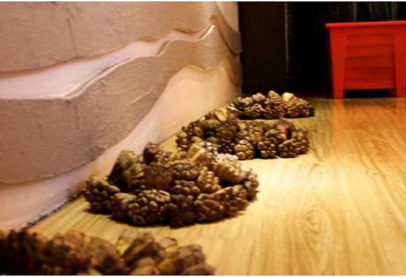 Whiteshell Island Hotel & Spa