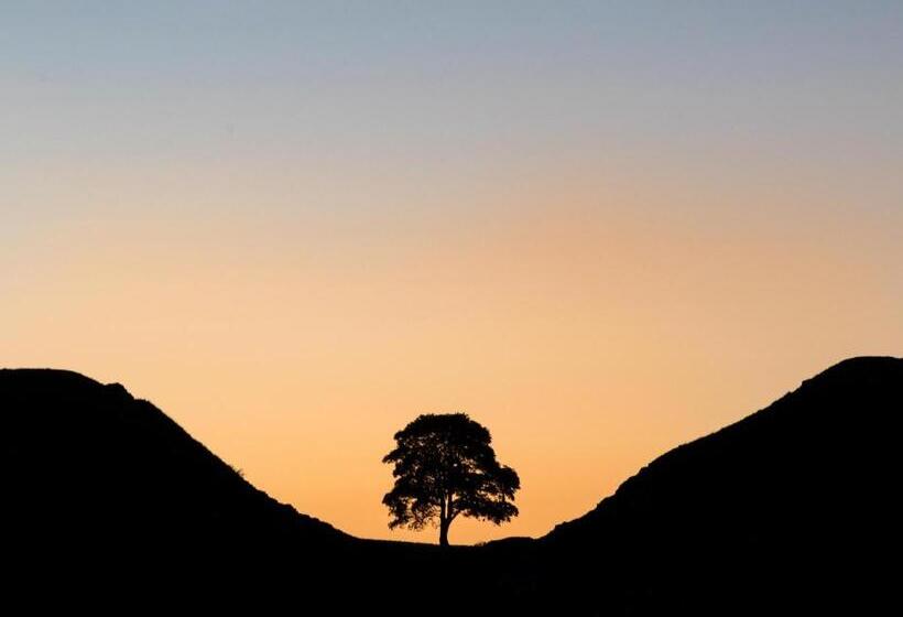 Wydon Farm Bed And Breakfast