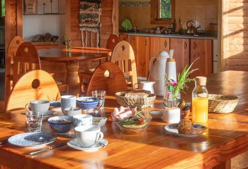 Zapato Amarillo Bed & Breakfast