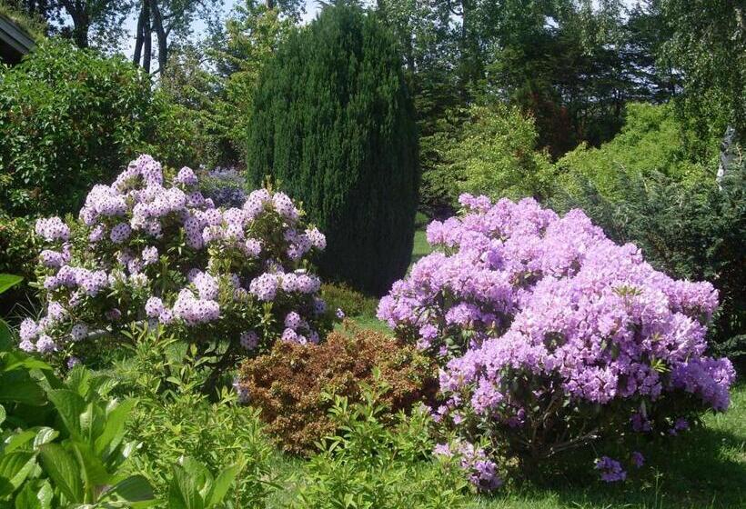 Zapato Amarillo Bed & Breakfast