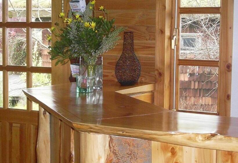 Zapato Amarillo Bed & Breakfast