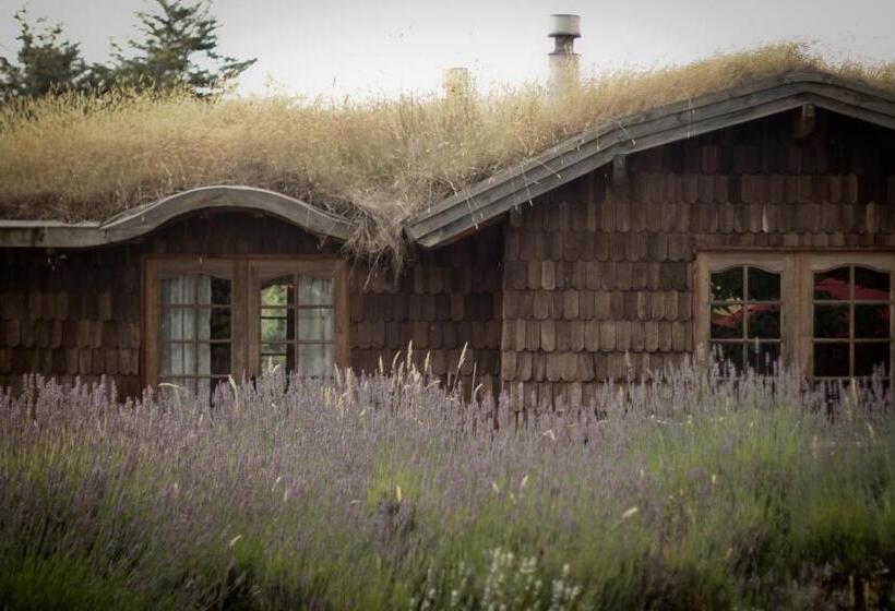 Zapato Amarillo Bed & Breakfast