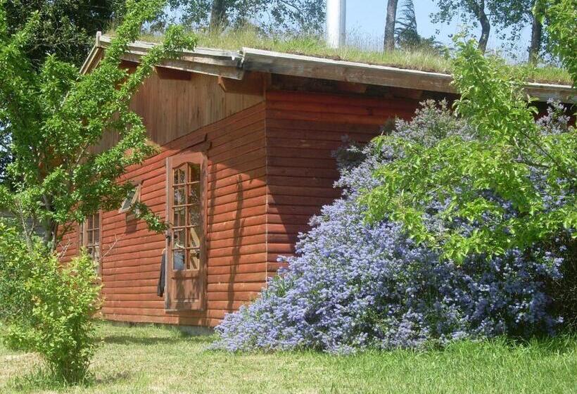 Zapato Amarillo Bed & Breakfast