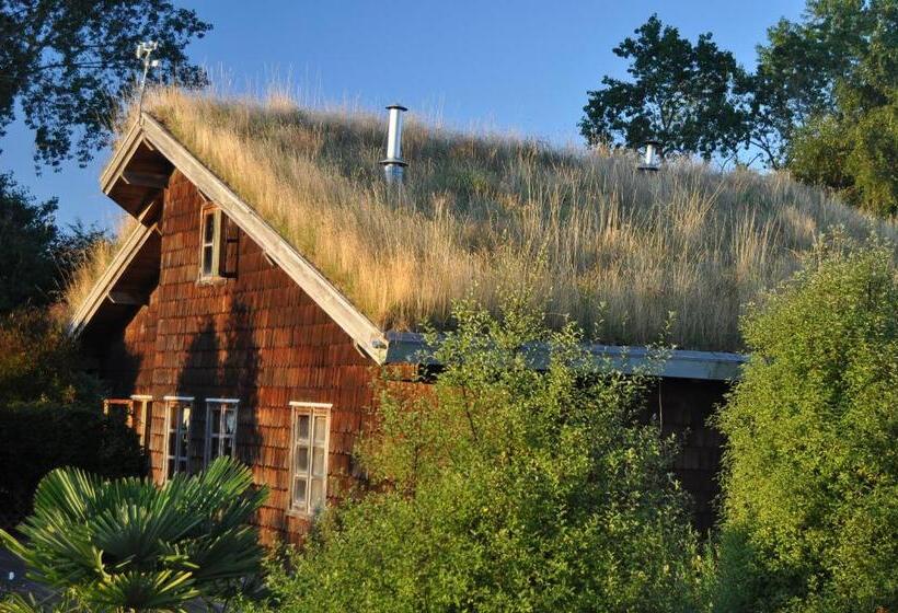 Zapato Amarillo Bed & Breakfast