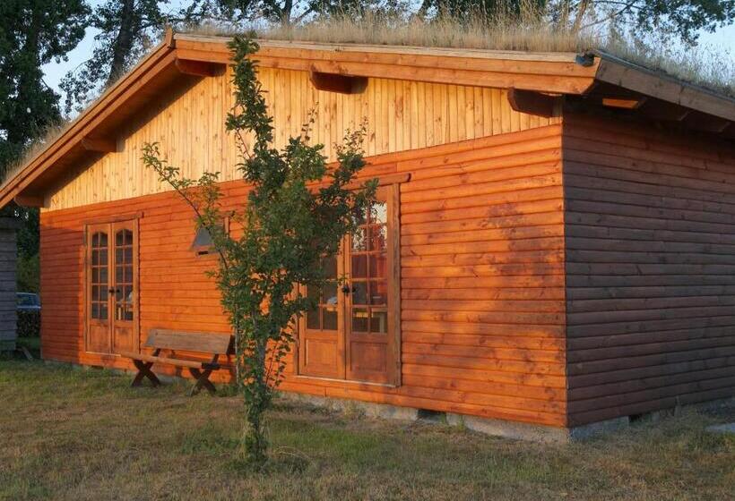 Zapato Amarillo Bed & Breakfast