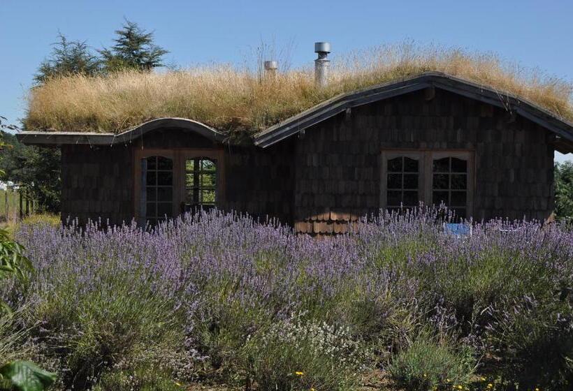 Zapato Amarillo Bed & Breakfast