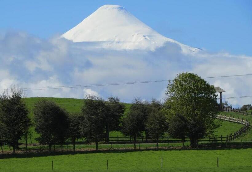 Zapato Amarillo Bed & Breakfast