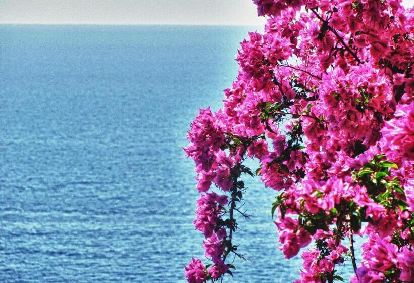 Agriturismo Sul Sentiero