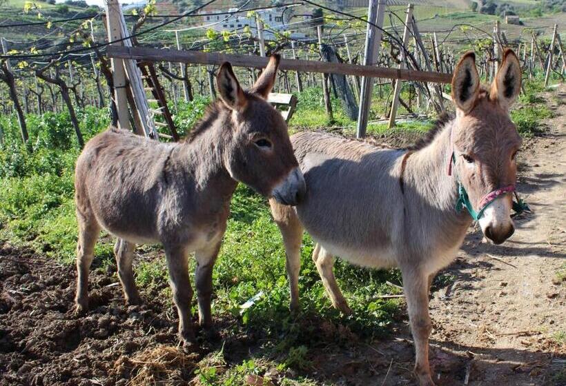Agriturismo La Casa Di Bacco