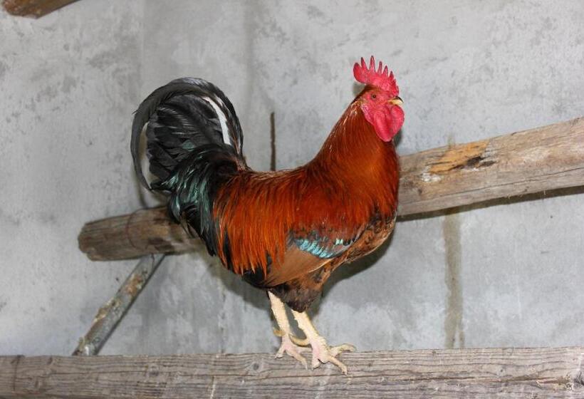 Agriturismo La Casa Di Bacco