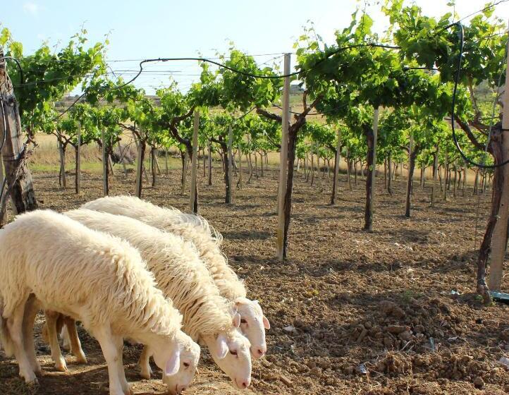 Agriturismo La Casa Di Bacco