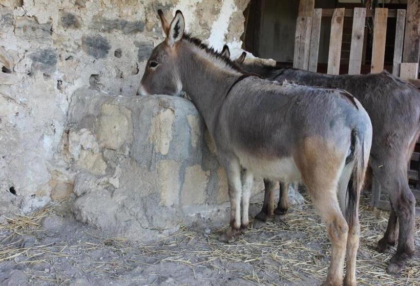 Agriturismo La Casa Di Bacco
