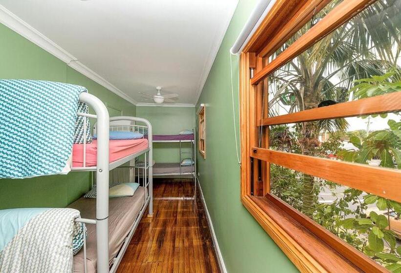 فندق صغير Port Macquarie Backpackers