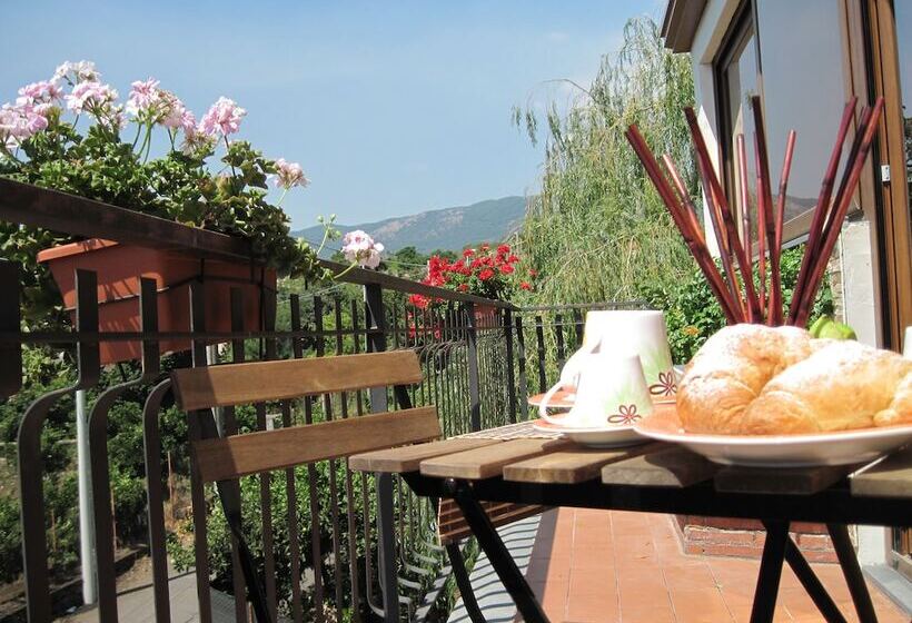Bed and Breakfast Anthea Dell  Etna