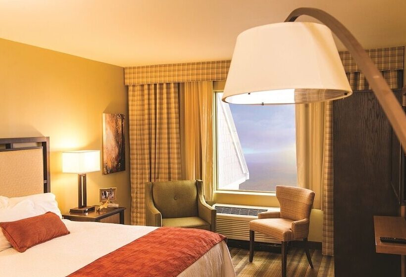 فندق Amicalola Falls State Park And Lodge