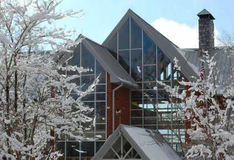 فندق Amicalola Falls State Park And Lodge