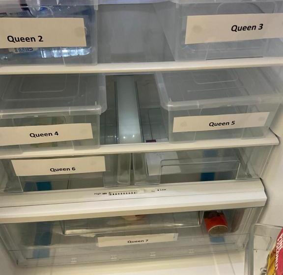 酒店 Argyle Accommodation