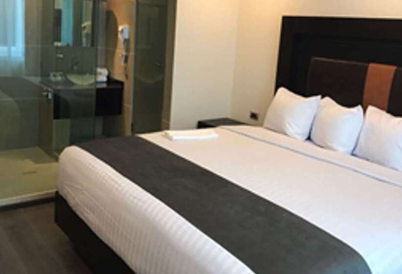 酒店 Best Western Plus Metepec & Suites