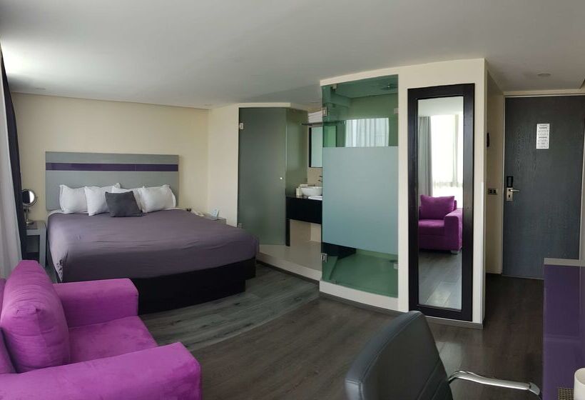 酒店 Best Western Plus Metepec & Suites