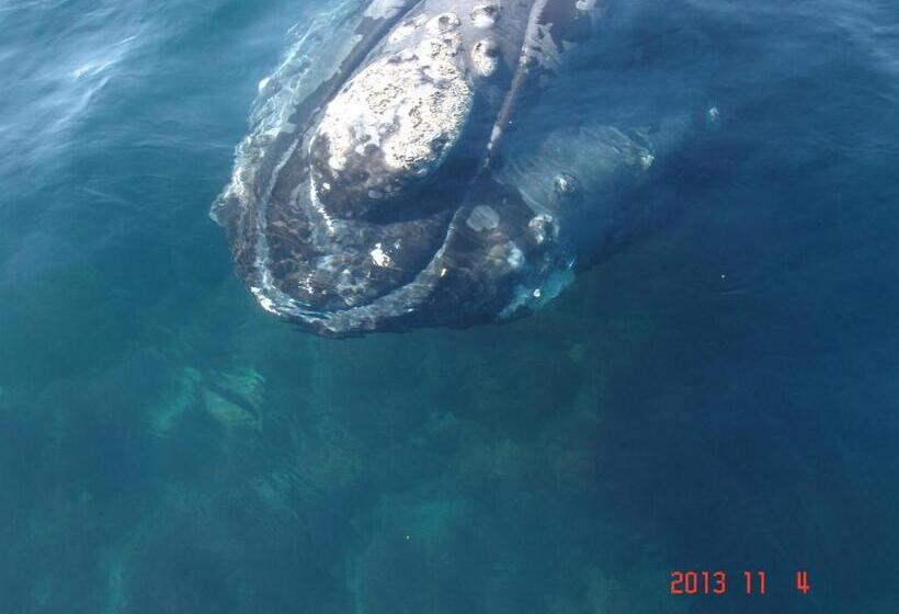 هتل Casa Patagonica