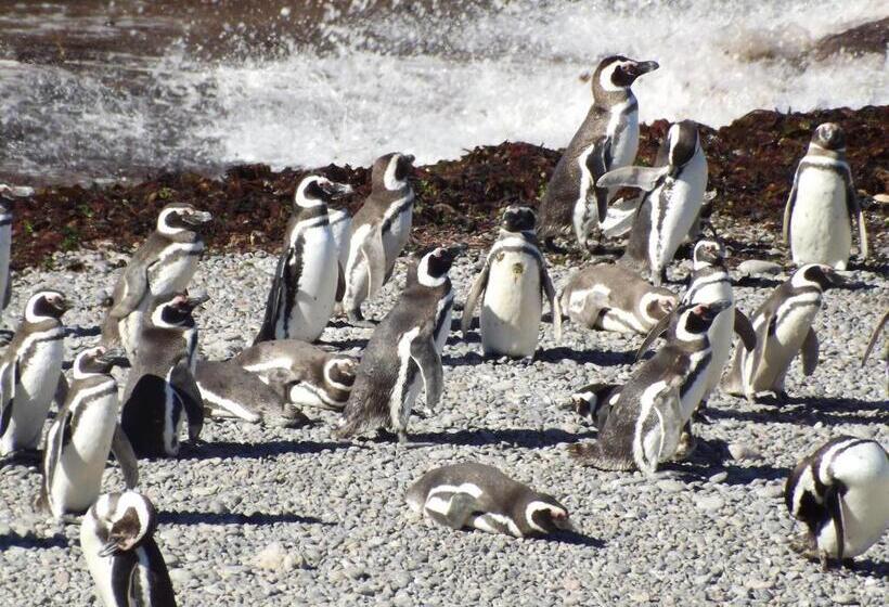 ホテル Casa Patagonica