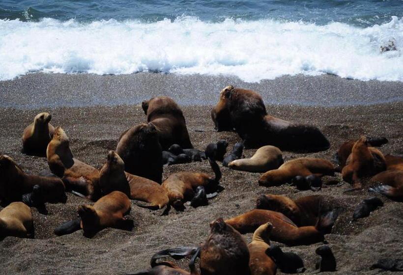 ホテル Casa Patagonica