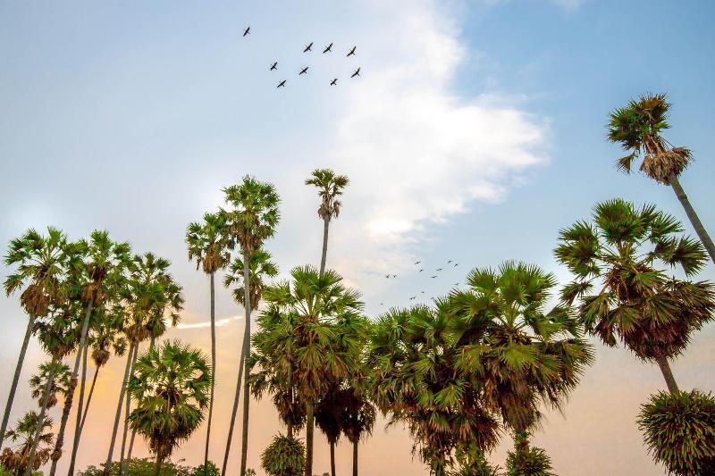 هتل Courtyard By Marriott Siem Reap Resort