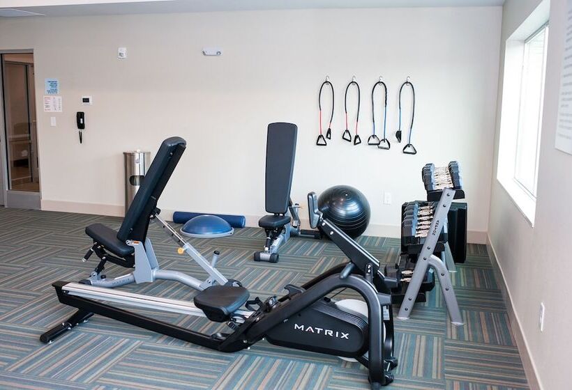 בית מלון כפרי Holiday Inn Express And Suites  Birmingham North Fultondale By Ihg