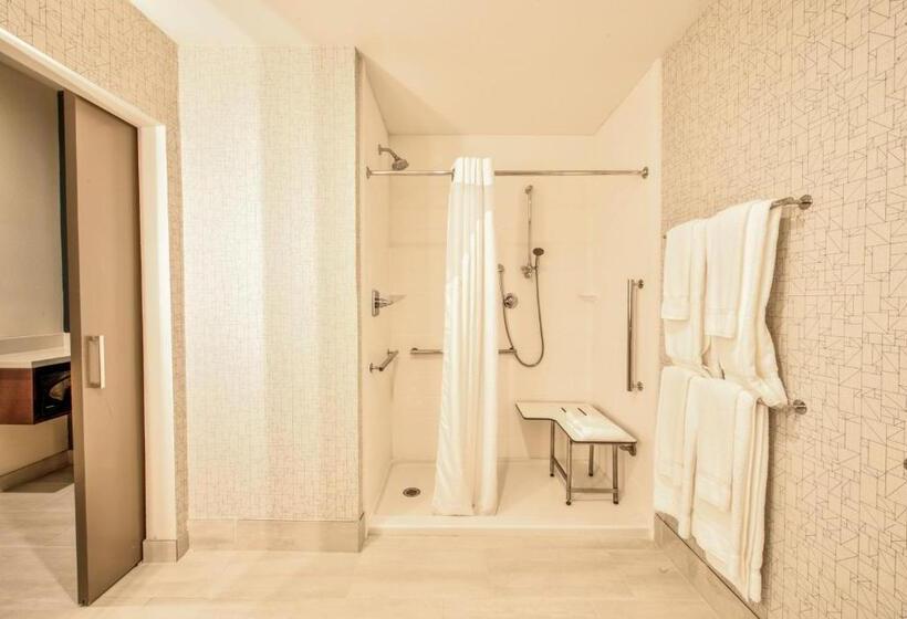 酒店 Holiday Inn Express & Suites Dallas Nw   Farmers Branch, An Ihg