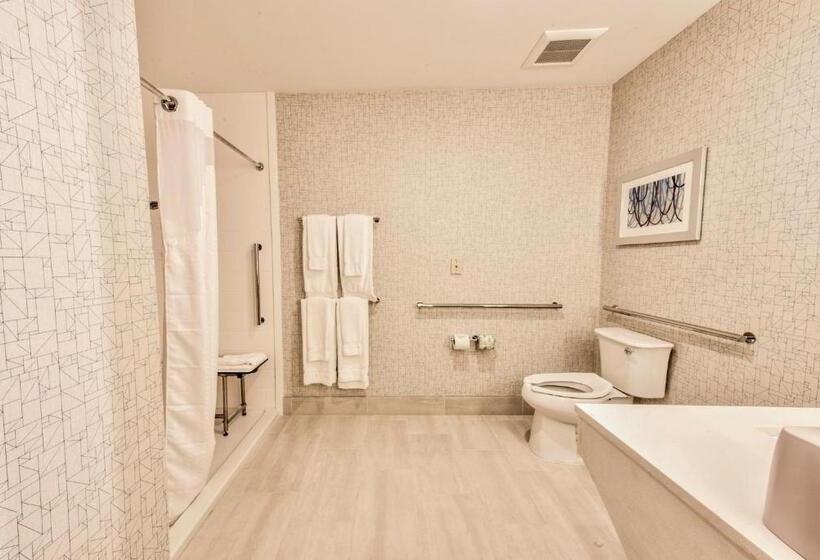 酒店 Holiday Inn Express & Suites Dallas Nw   Farmers Branch, An Ihg