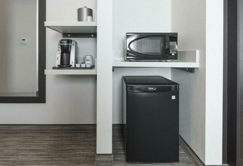 酒店 Holiday Inn Express & Suites   Saskatoon East   University, An Ihg