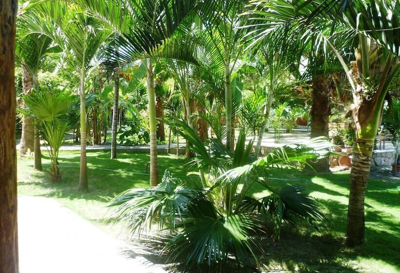 ホテル La Barquita Beach Hostel