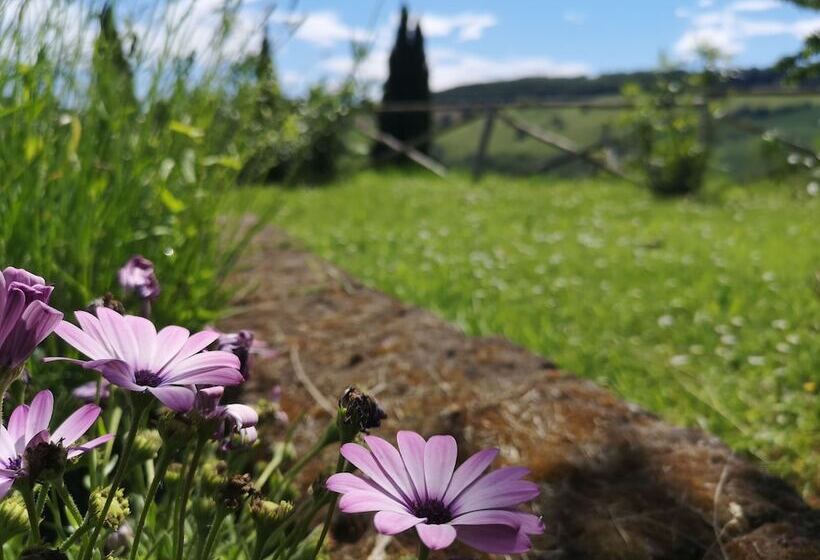 فندق La Casa Sul Colle