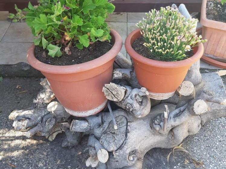 בית מלון כפרי La Piccola Mole