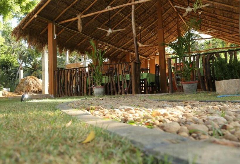 Отель The Grand Yala