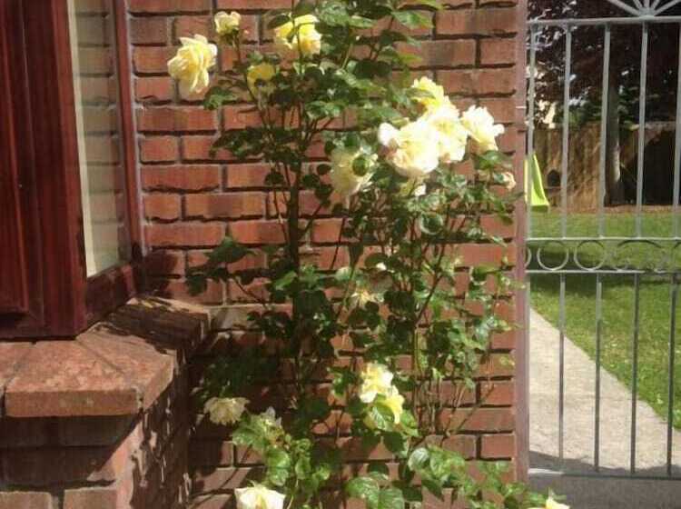 ホテル Willows B&b