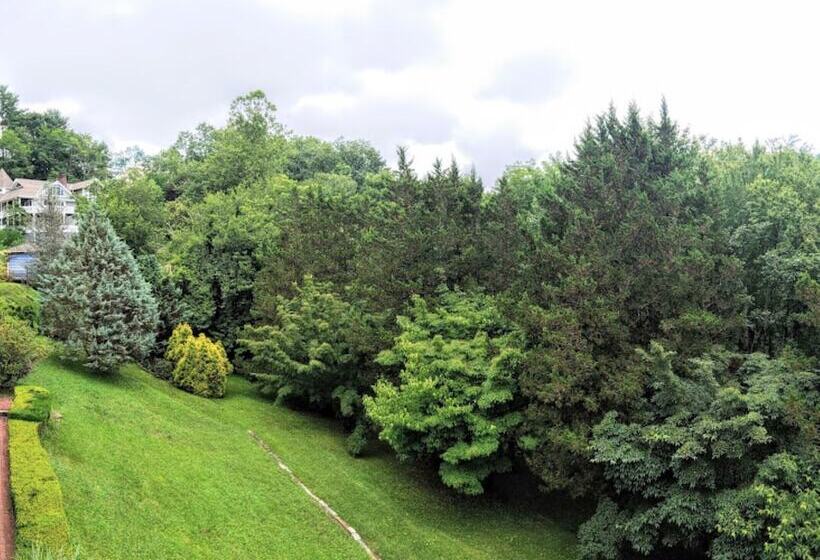 צימר Innisfree Boutique Inn By The Lake