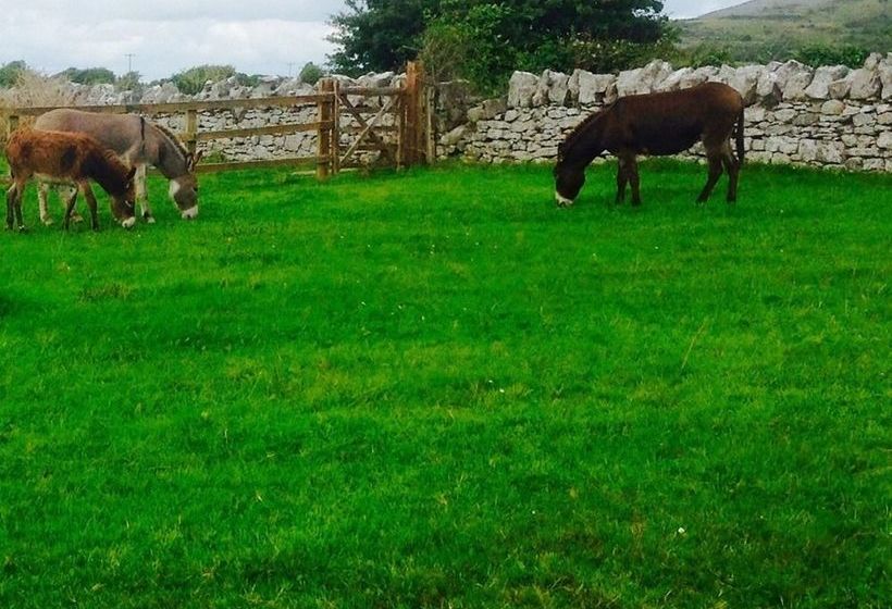 Loughrask Lodge Bed & Breakfast