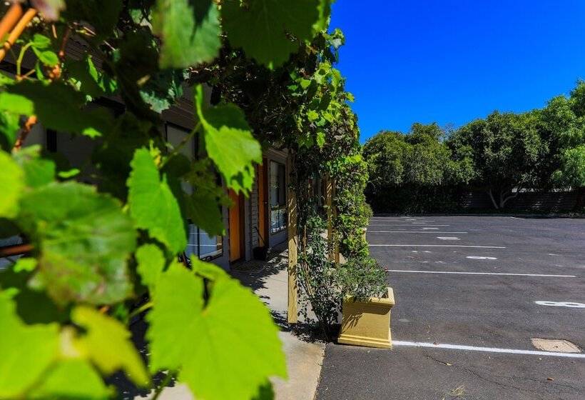 مُتل Country Roads Motor Inn Naracoorte