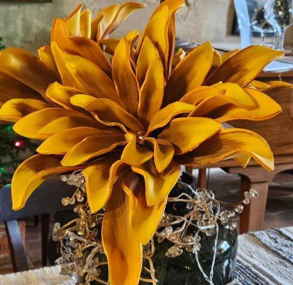 پانسیون La Maison Colline