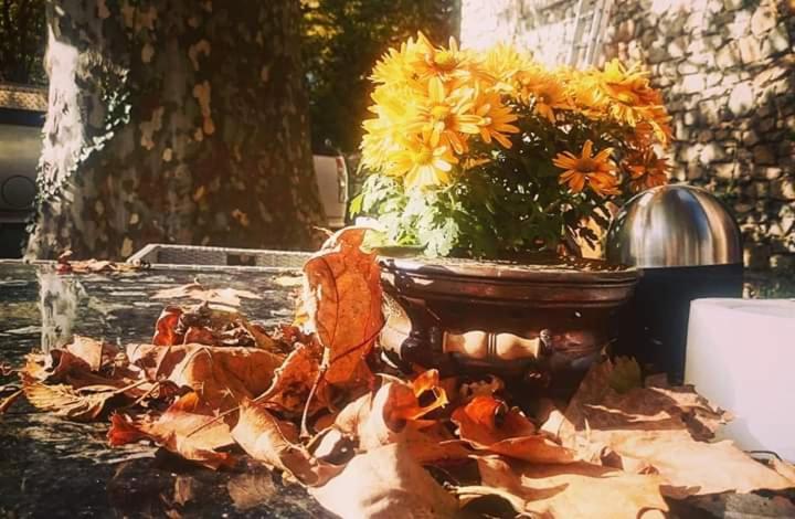 펜션 Relais De Laval