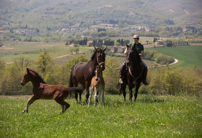 Poggiovalle Tenuta Italiana