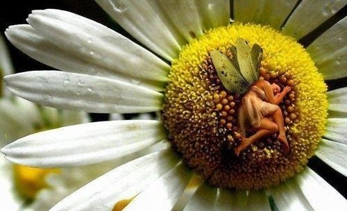 Secret Garden Bed & Breakfast