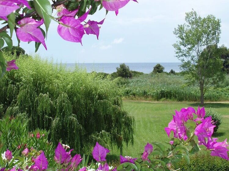 Skiathos Holidays Suites & Villas