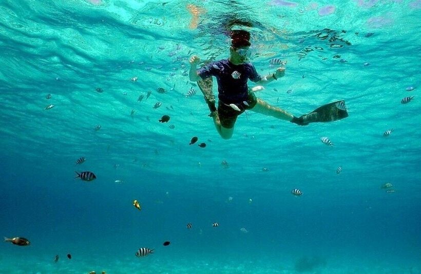 South Point Villas Cerf Island