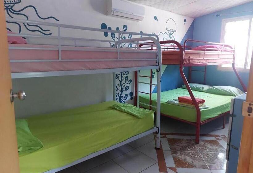 Taca Tucan Hostel