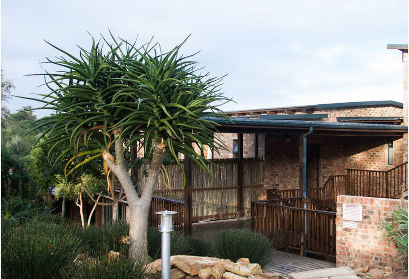 旅馆 Surfari Accommodation And Venue