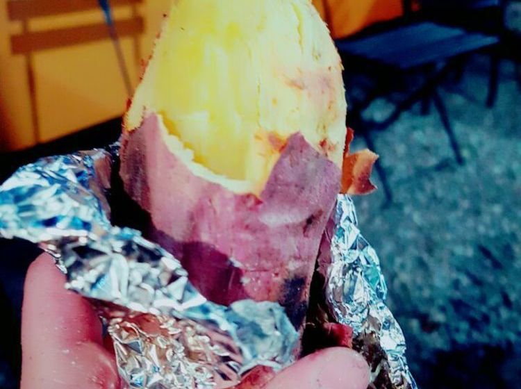 ユースホステル Yufuin No Take